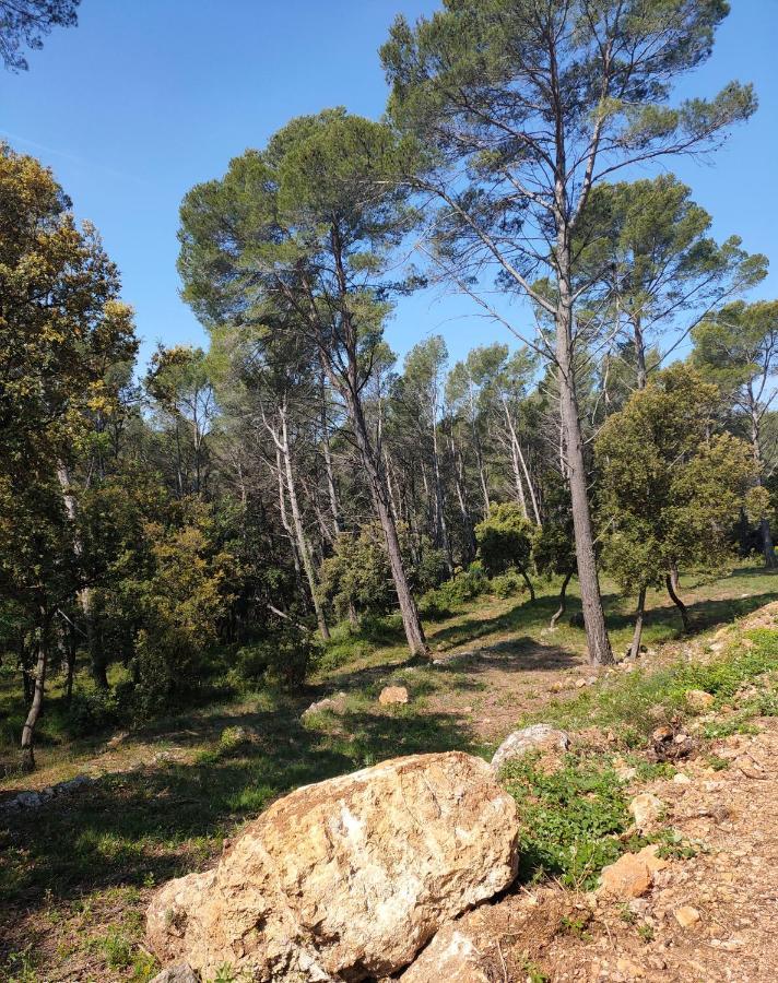 Les Hauts Du Peireguier La Motte Zewnętrze zdjęcie